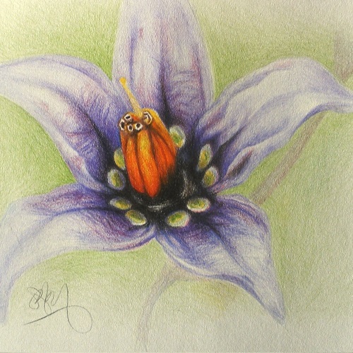 Local Art Classes Beginners & Intermediate Red Carpet Cinema & Cafe