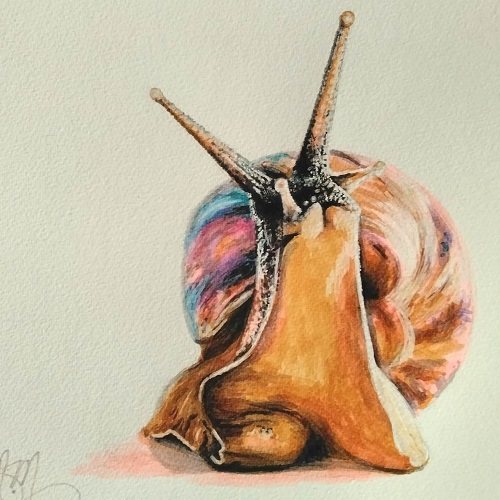 Local Art Classes Beginners & Intermediate Red Carpet Cinema & Cafe