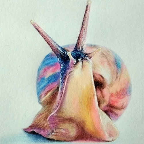 More example art from a previous class